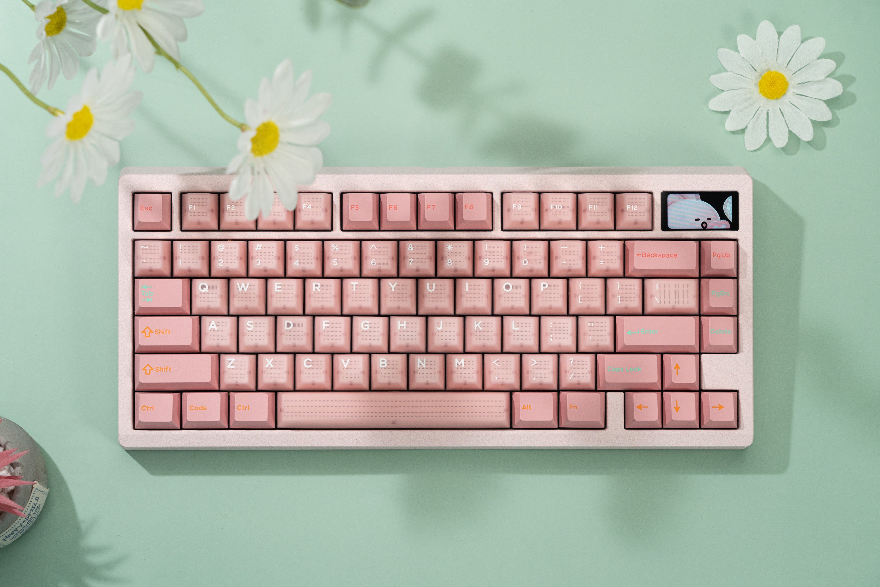 Product Progress Update - October