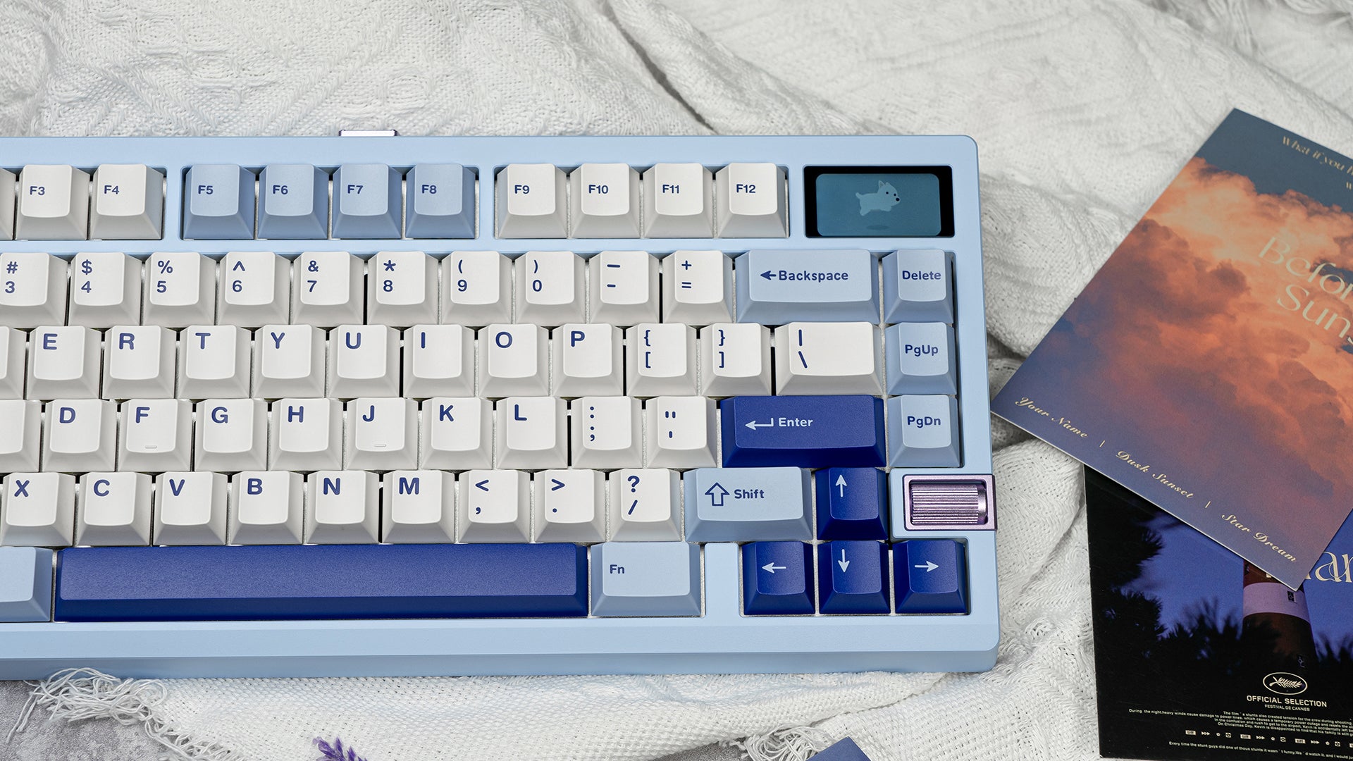 줌75 티가 스카이블루