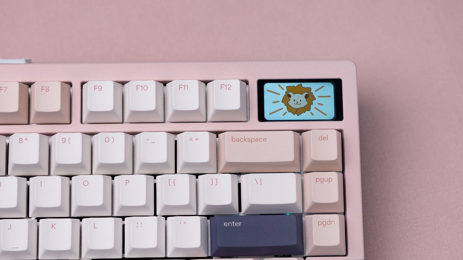 Zoom75 TIGA 딸기 아이스크림