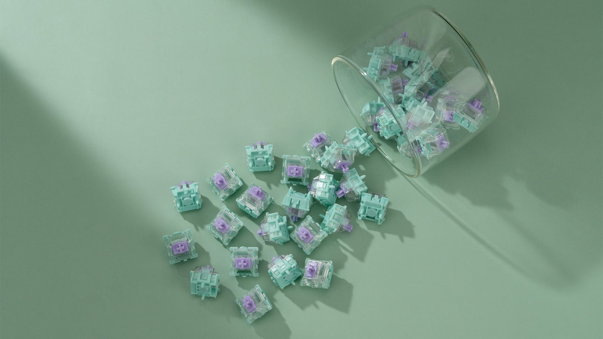 WS Dash HE 자석 스위치(70개)