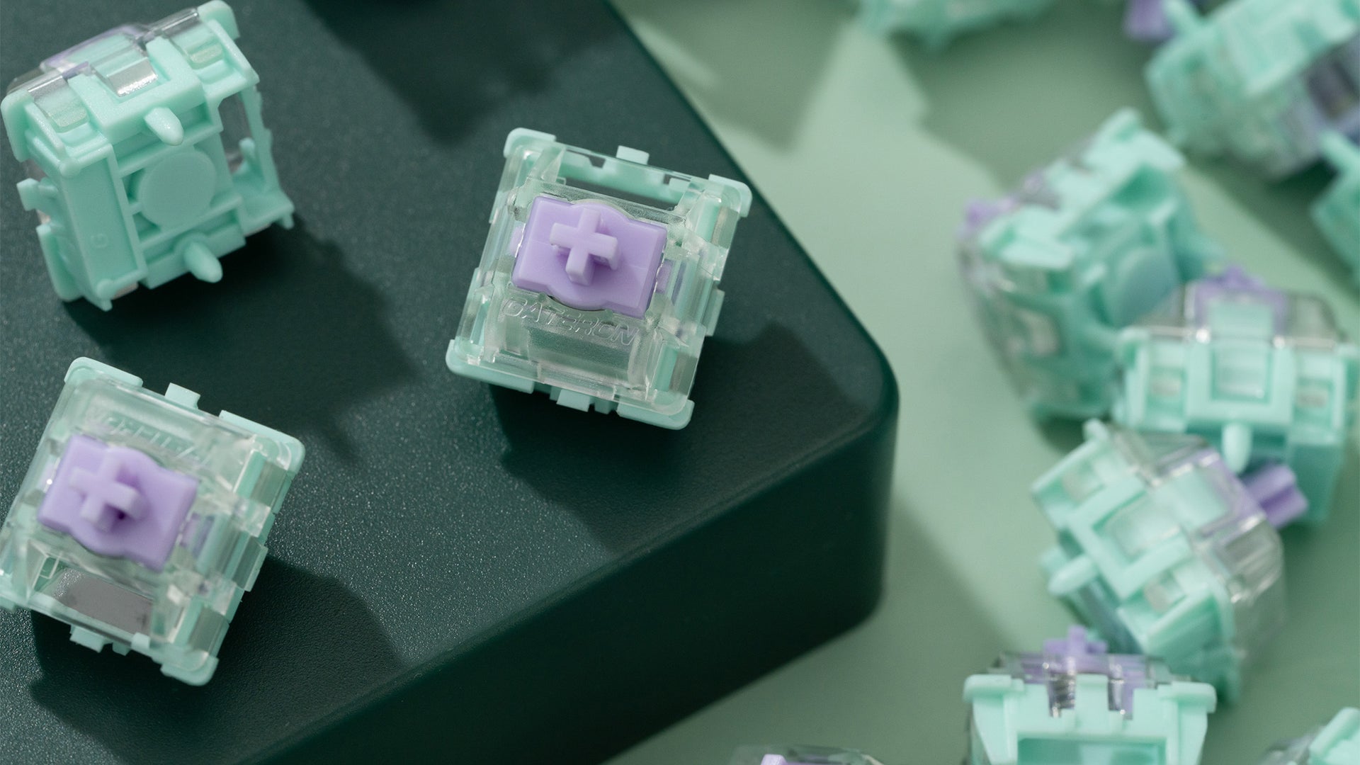 WS Dash HE 자석 스위치(70개)