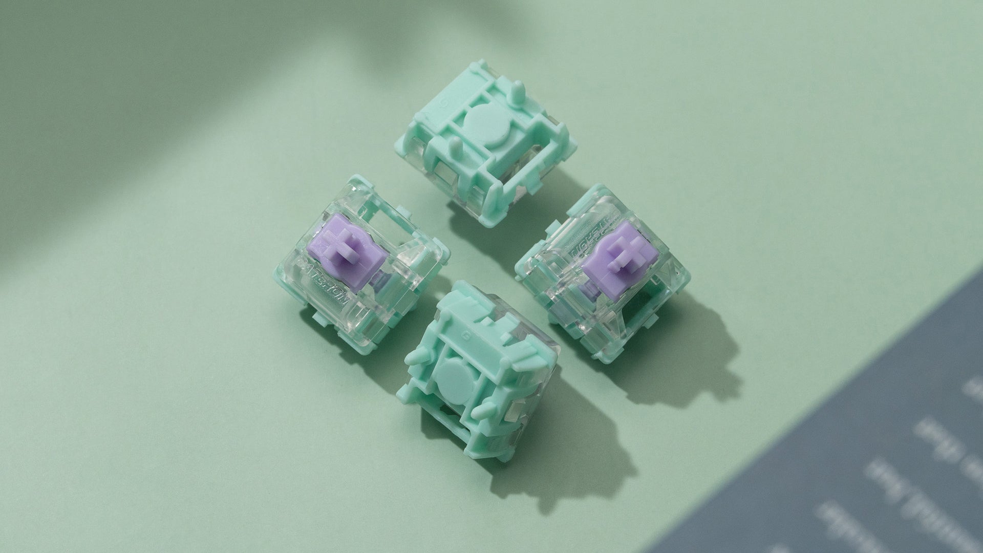 WS Dash HE 자석 스위치(70개)