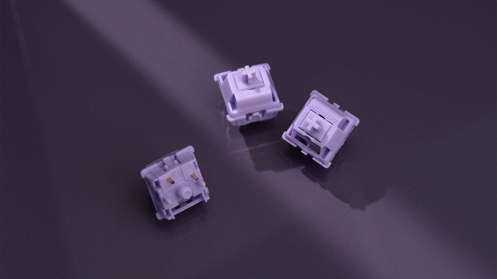 WS POM+ 스위치(35개)