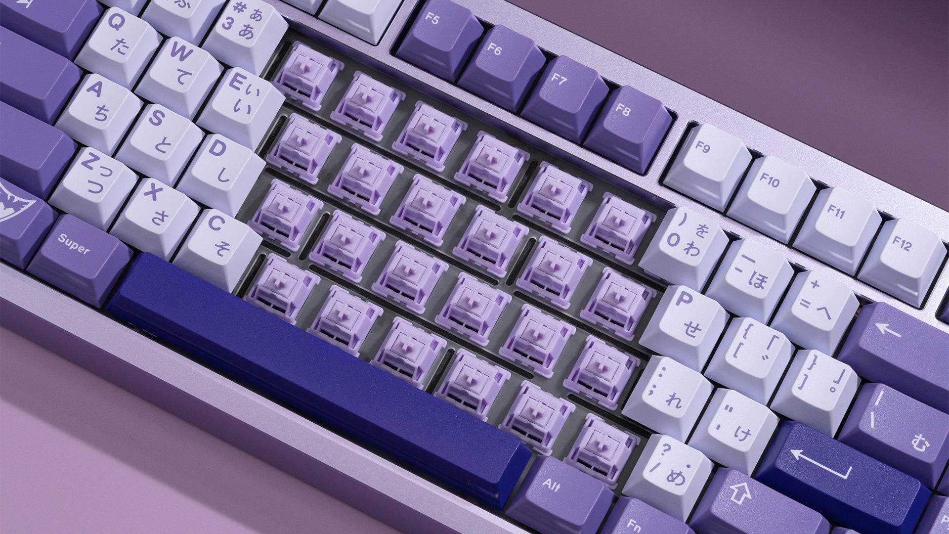 WS POM+ 스위치(35개)