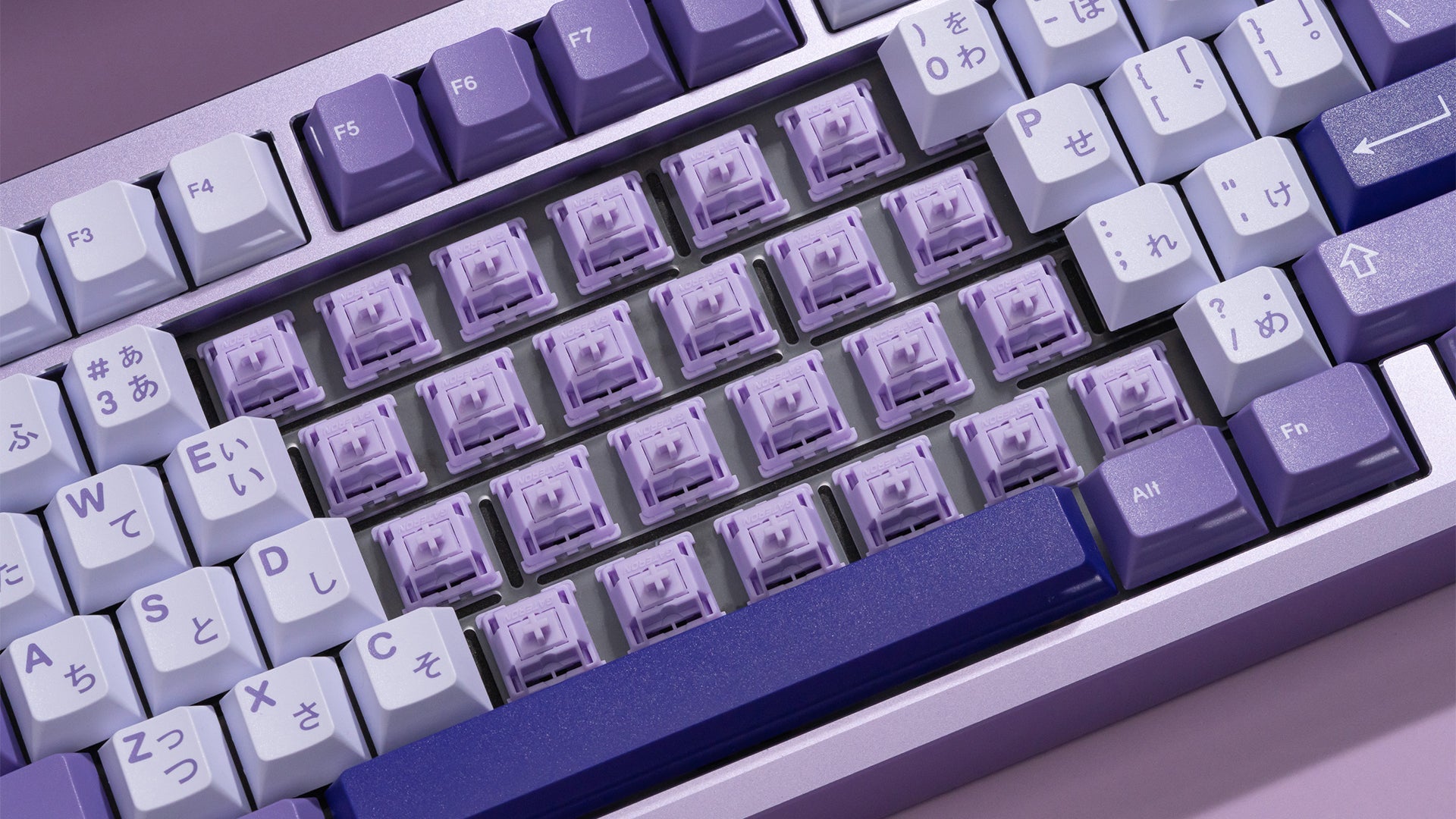 WS POM+ 스위치(35개)