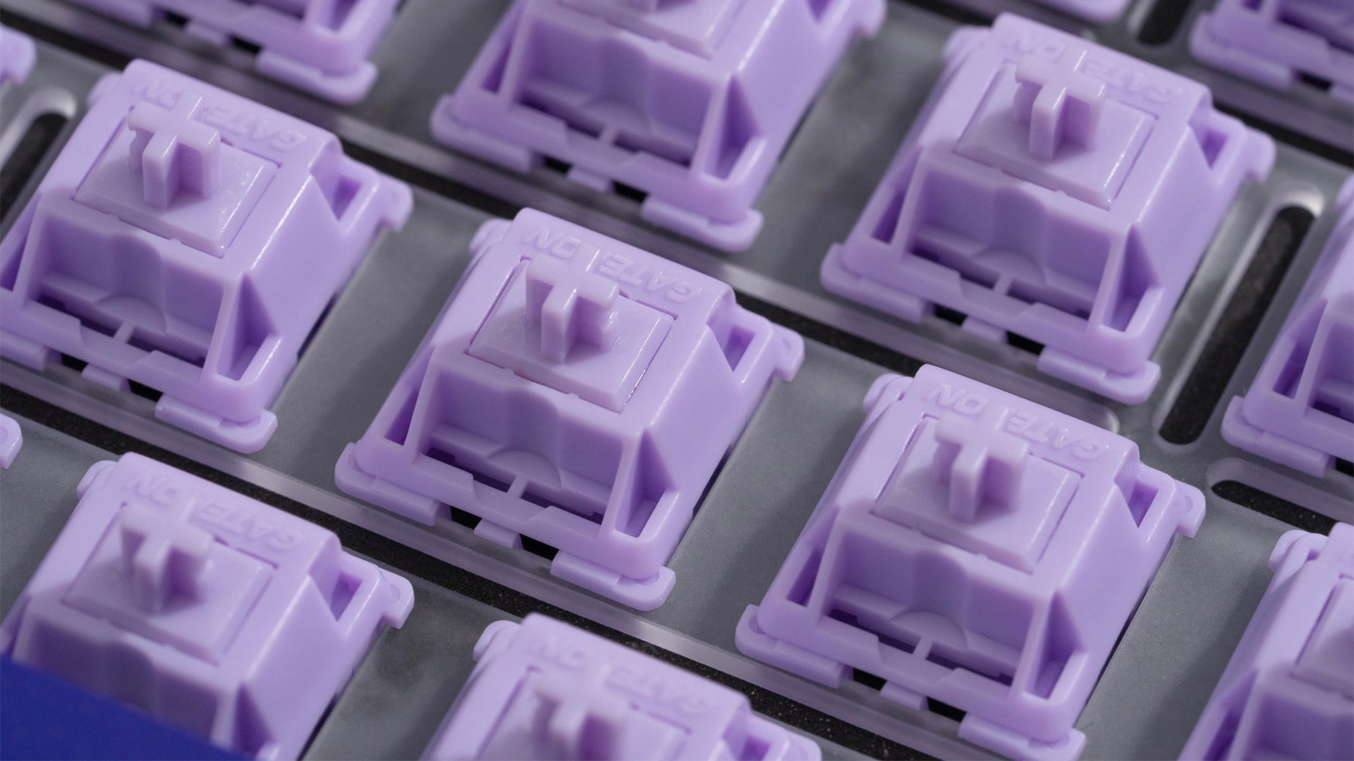 WS POM+ 스위치(35개)