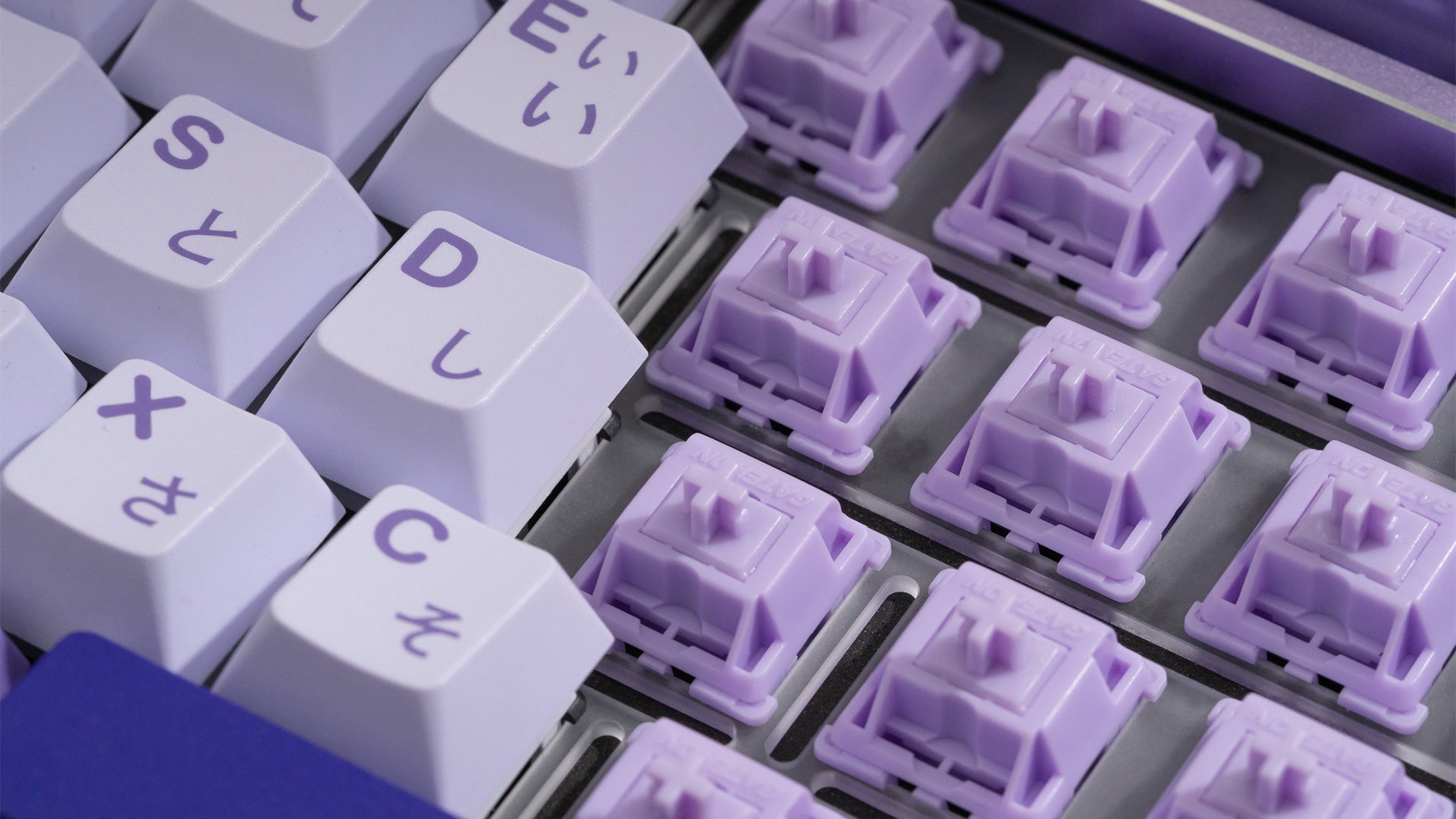 WS POM+ 스위치(35개)