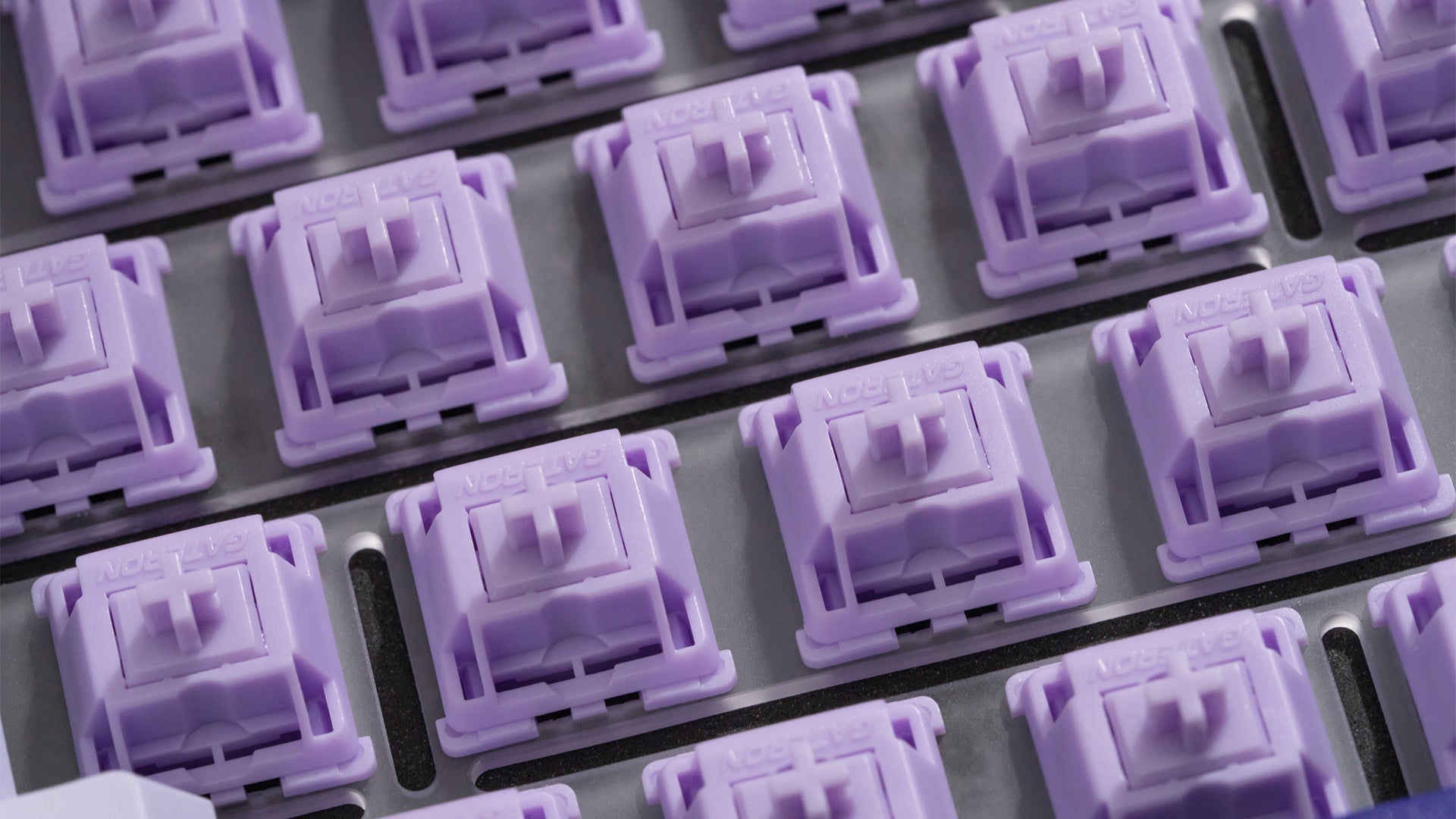 WS POM+ 스위치(35개)