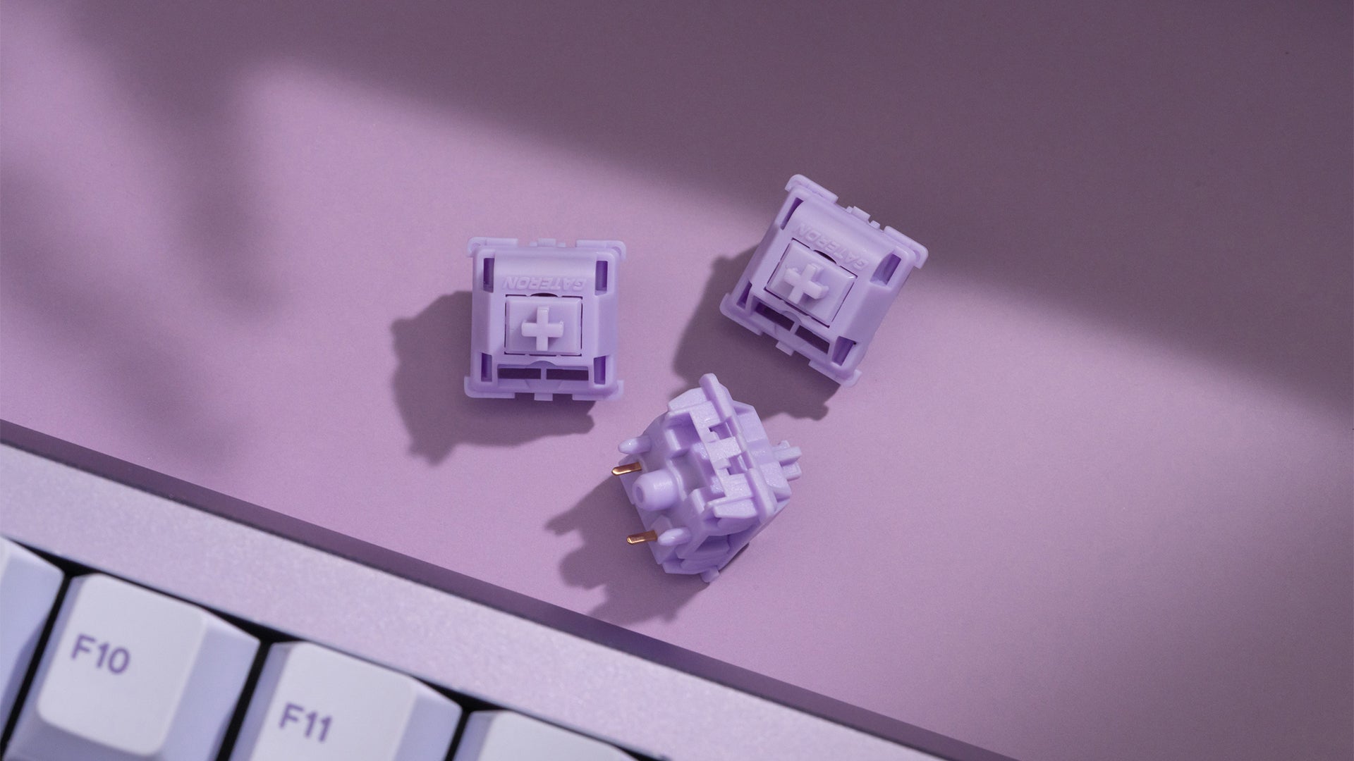 WS POM+ 스위치(35개)