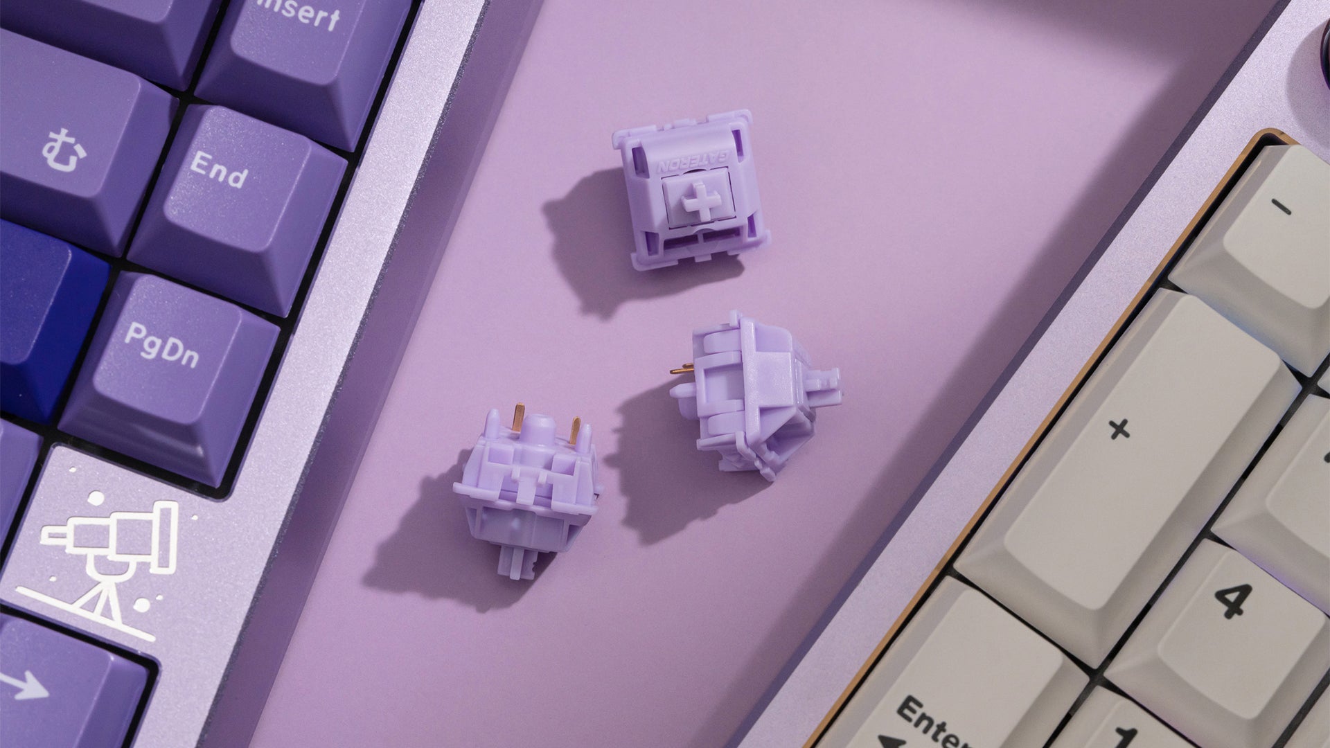 WS POM+ 스위치(35개)