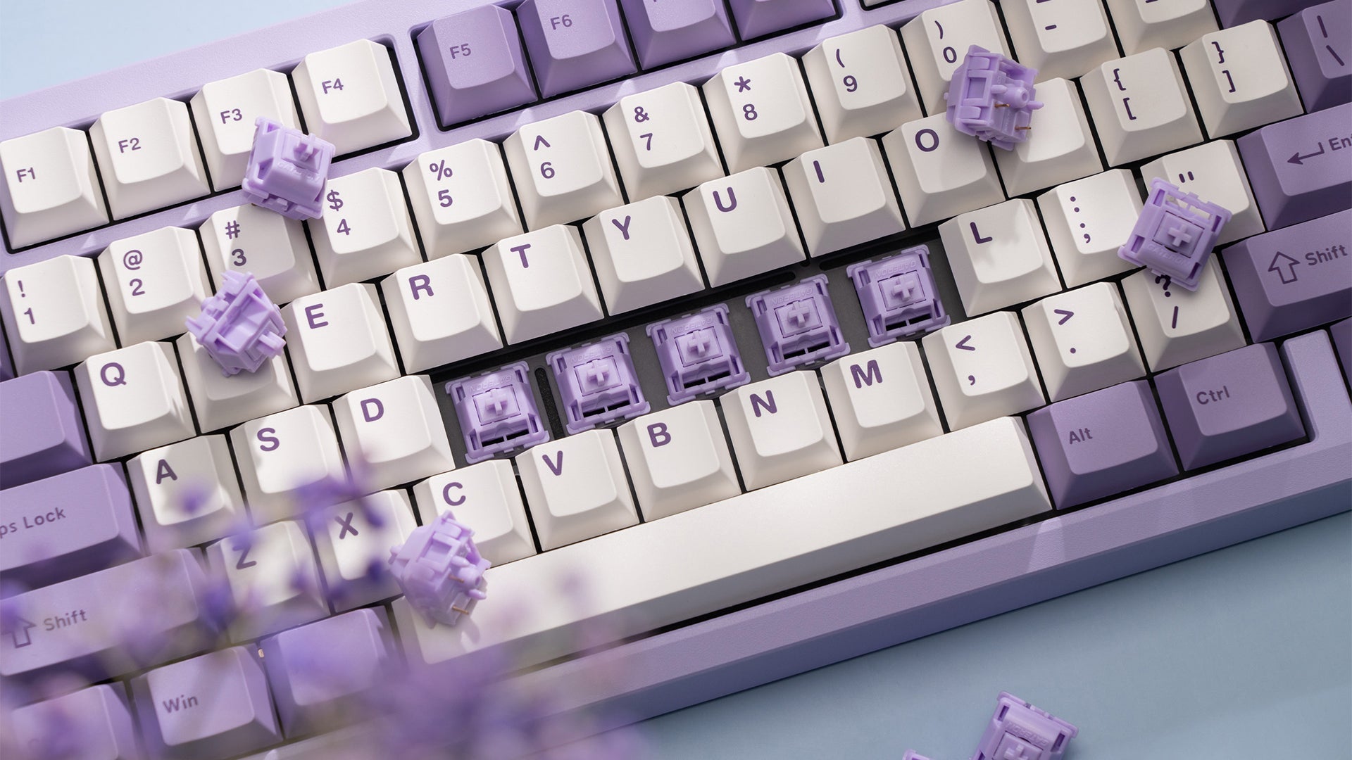 WS POM+ 스위치(35개)