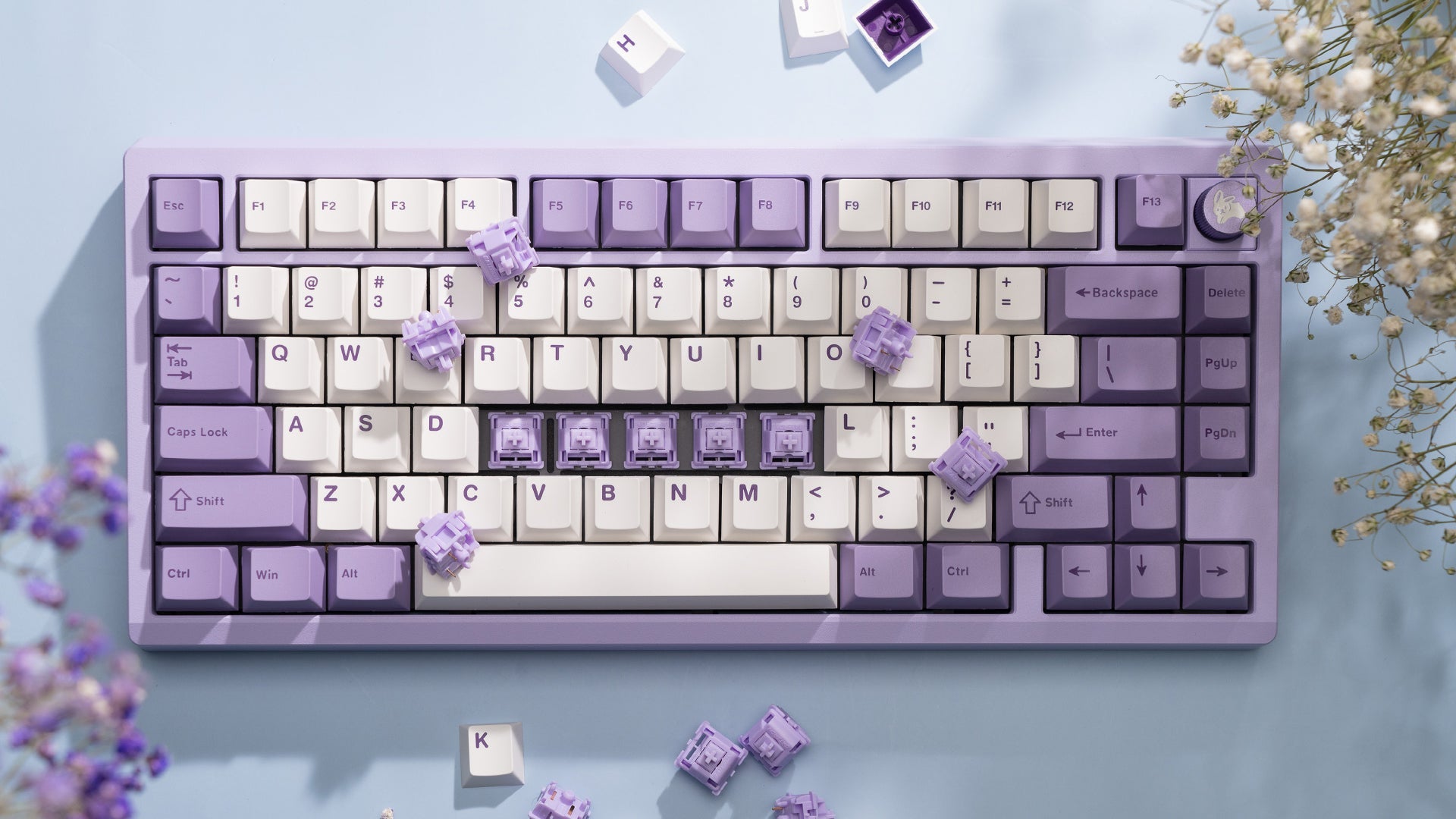 WS POM+ 스위치(35개)