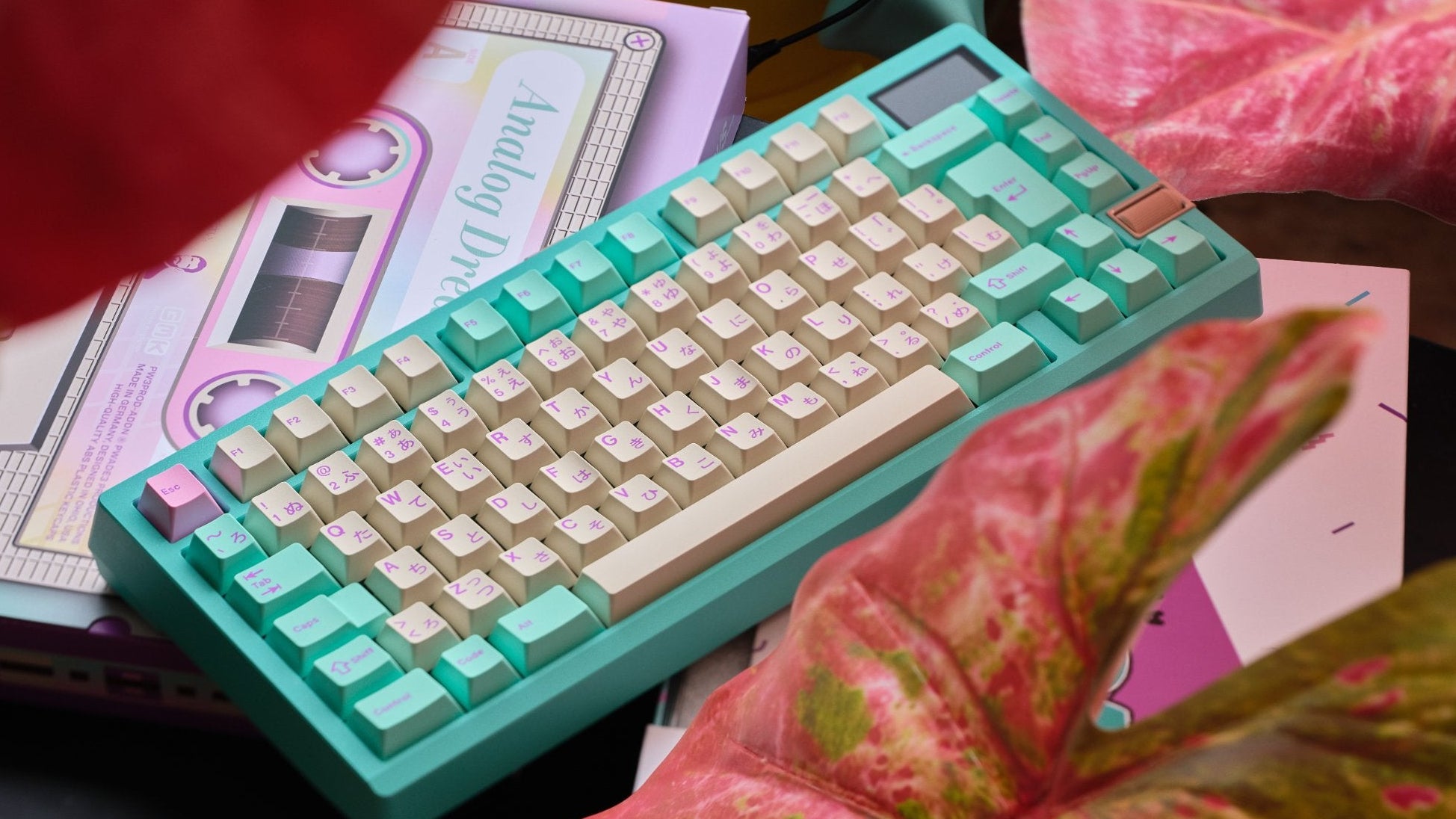 Zoom75 TIGA Aquamarine
