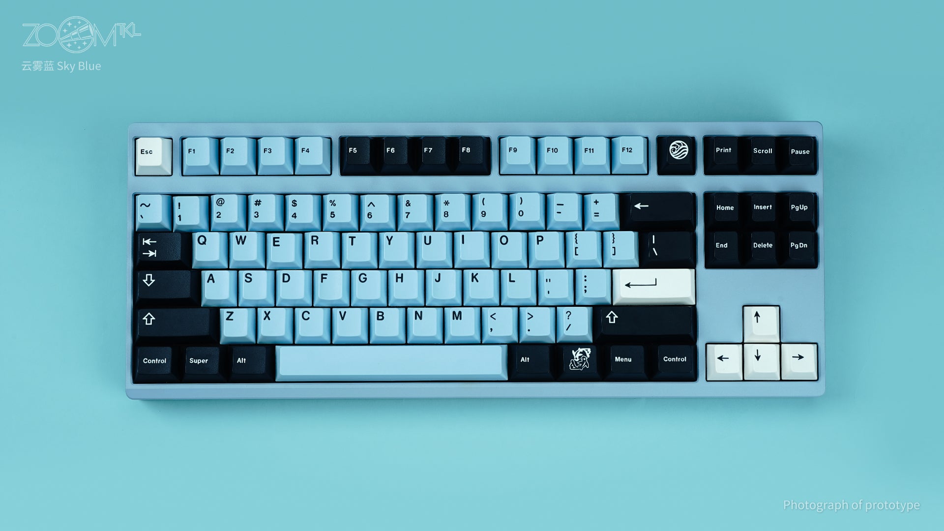 ZOOM TKL ESSENTIAL EDITION-Sky Blue