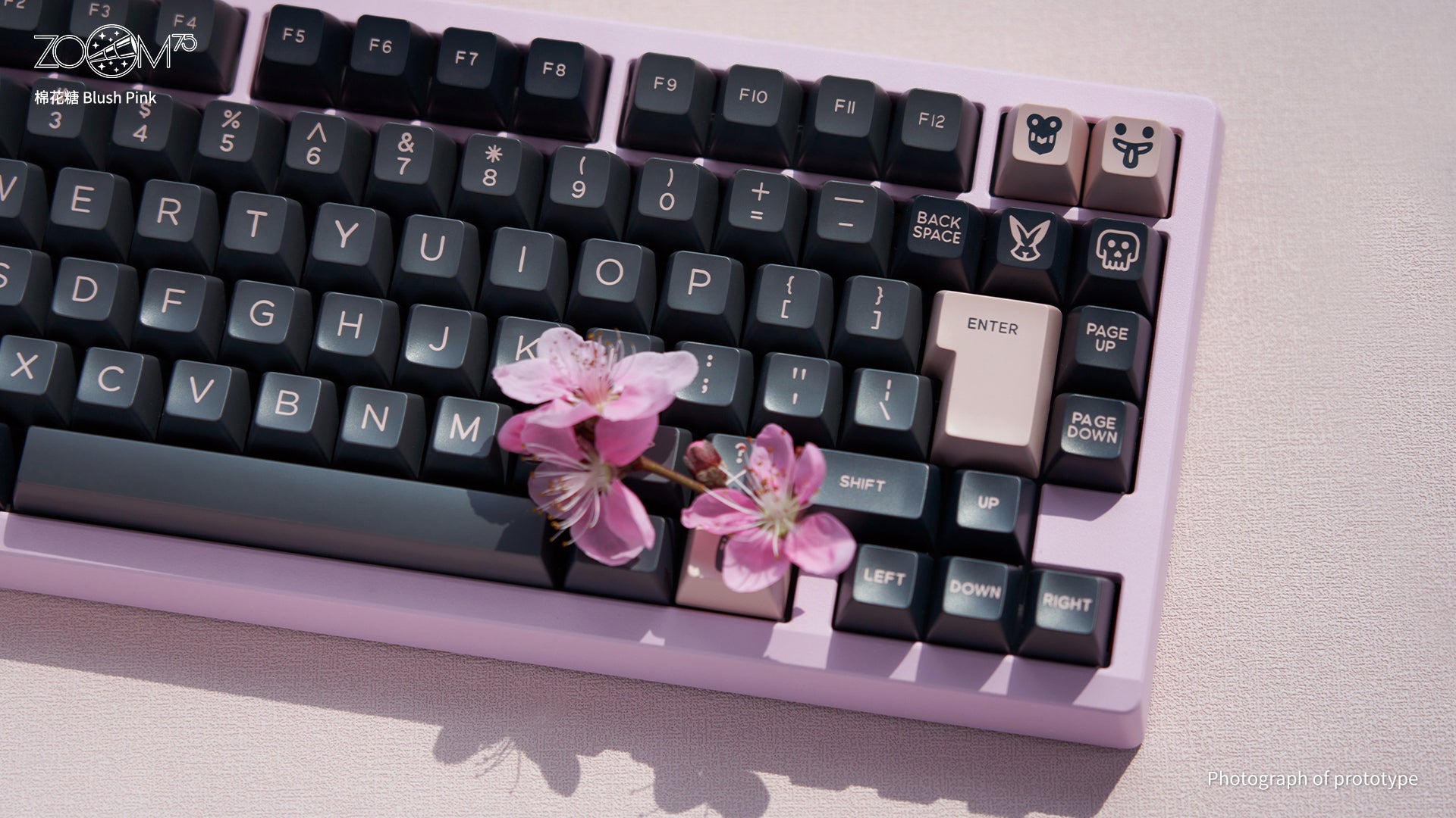 Zoom75 EE - 블러쉬 핑크