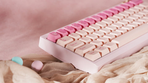 [GB]Zoom64 Coral Bloom